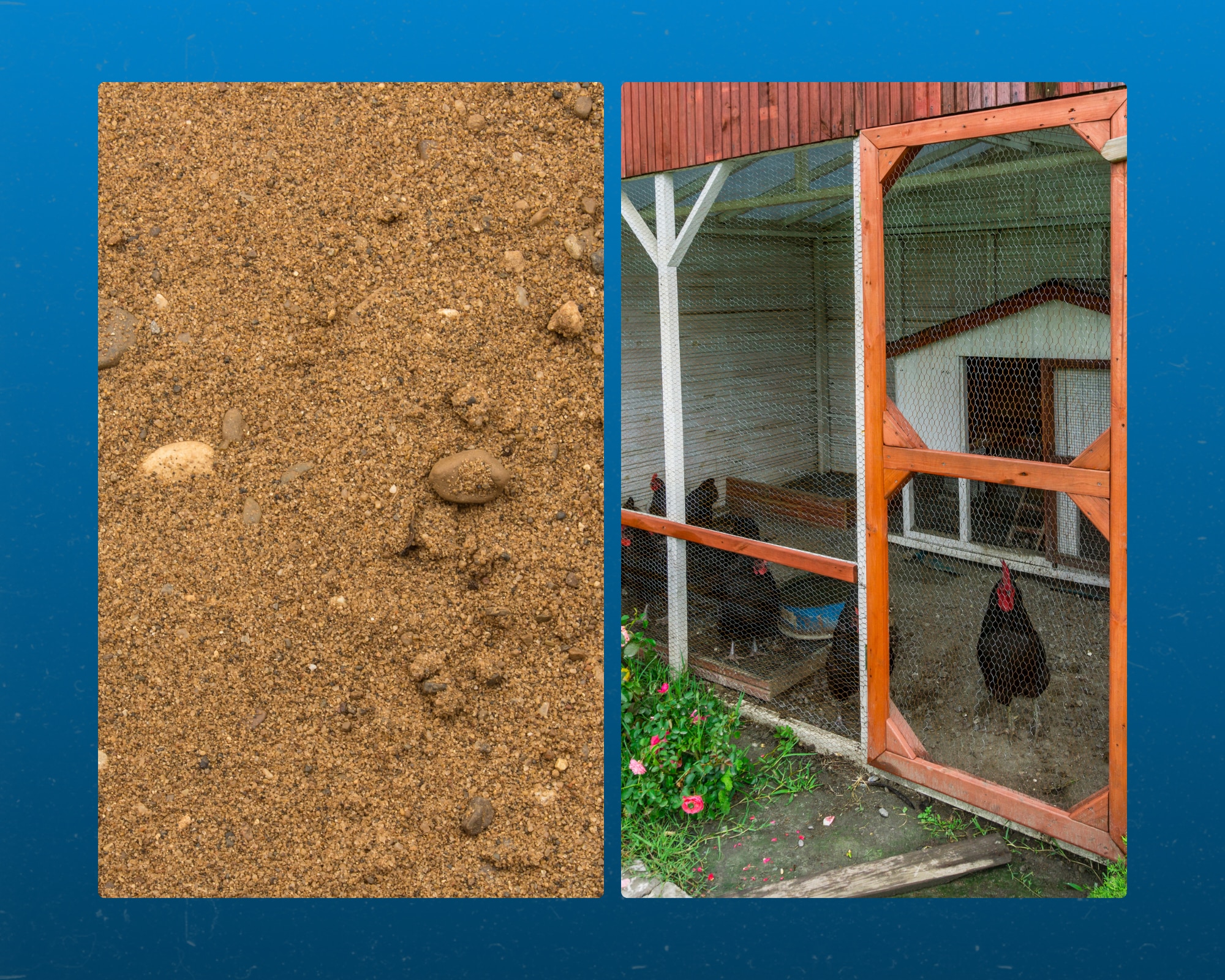 River Sand - Chicken Coop